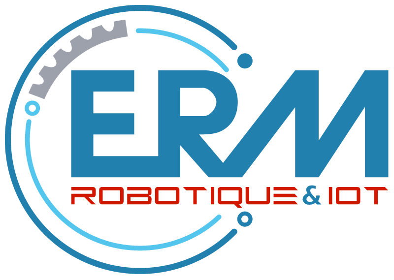 ERM Logo
